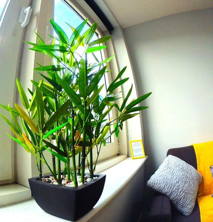 Studio For Professionals Trades Relocators Apartment Cardiff United Kingdom